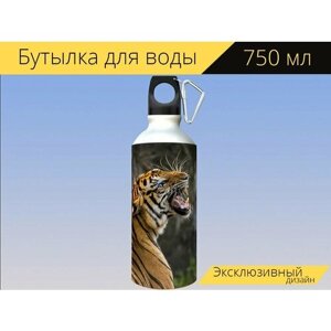 Бутылка фляга для воды "Тигр, кот, большой кот" 750 мл. с карабином и принтом