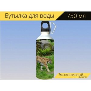 Бутылка фляга для воды "Тигр, полосатый, зоопарк" 750 мл. с карабином и принтом