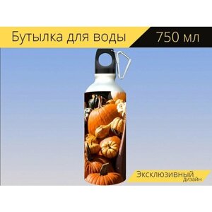 Бутылка фляга для воды "Тыква, тыквы, овощи" 750 мл. с карабином и принтом