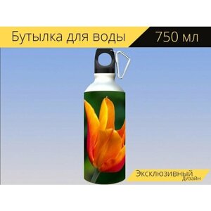 Бутылка фляга для воды "Тюльпан, цветок, лепестки" 750 мл. с карабином и принтом