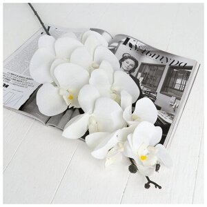 Цветы искусственные "Орхидея фаленопсис бархатистая" 10х90 см, белый 3794220