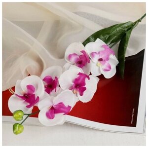Цветы искусственные "Орхидея пышность" 60 см, белый