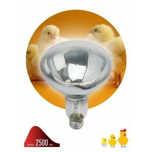 ЭРА Инфракрасная лампа ИКЗ 220-250 R127 E27, кратность 1 шт, для обогрева животных и освещения, 250 Вт, Е27 Б0055440 (68 шт.)