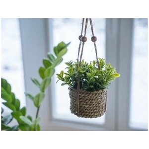 Искусственное растение COZY GREENS в подвесном джутовом кашпо, пластик, 8х12 см, Kaemingk