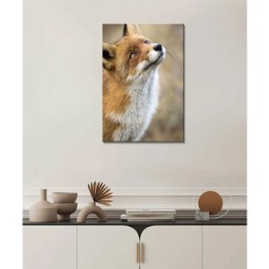 Картина - Лиса, лис, лисы, лисичка, лисенок, лисица, рыжая лиса, лиса в лесу, мордочка лисы (38) 50х70