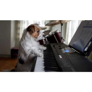 Картина на холсте 110x60 LinxOne "Музыкант пёсик собака" интерьерная для дома / на стену / на кухню / с подрамником