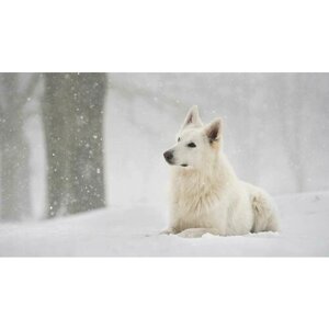Картина на холсте 110x60 LinxOne "Взгляд снег фон собака" интерьерная для дома / на стену / на кухню / с подрамником