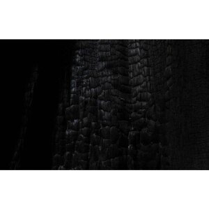 Картина на холсте 60x110 LinxOne "Дерево, уголь, черный" интерьерная для дома / на стену / на кухню / с подрамником