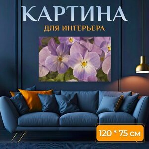 Картина на холсте "Анютины глазки, цвести, весна" на подрамнике 120х75 см. для интерьера