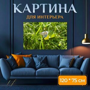 Картина на холсте "Бабочка, маленькая бабочка" на подрамнике 120х75 см. для интерьера