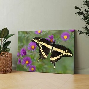 Картина на холсте (Бабочка сидит на цветке) 30x40 см. Интерьерная, на стену.