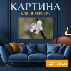 Картина на холсте "Цветок, персиковое дерево, весна" на подрамнике 120х75 см. для интерьера