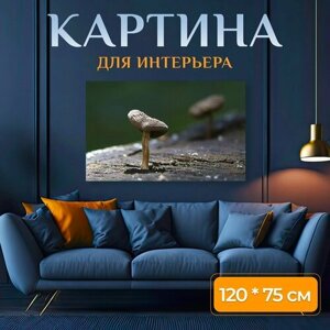 Картина на холсте "Гриб, дерево, пень" на подрамнике 120х75 см. для интерьера