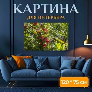 Картина на холсте "Крыжовник, фрукты, ягода" на подрамнике 120х75 см. для интерьера