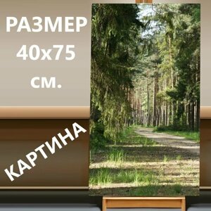 Картина на холсте "Лес, путь, дорога в лесу" на подрамнике 40х75 см. для интерьера