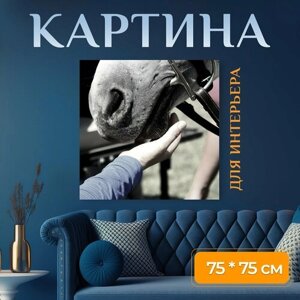 Картина на холсте "Лошадь, конный спорт, верхом на лошади" на подрамнике 75х75 см. для интерьера