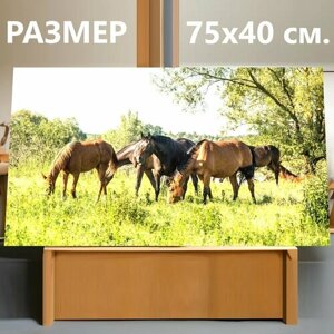 Картина на холсте "Лошади, пастбище, лес" на подрамнике 75х40 см. для интерьера