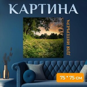 Картина на холсте "Луг, деревья, пейзаж" на подрамнике 75х75 см. для интерьера