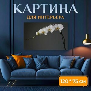 Картина на холсте "Орхидеи, чашки, белый" на подрамнике 120х75 см. для интерьера