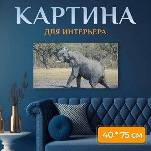 Картина на холсте "Слон, бивень, животное" на подрамнике 75х40 см. для интерьера