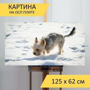 Картина на ОСП 125х62 см. Собака, небольшой, зима" горизонтальная, для интерьера, с креплениями