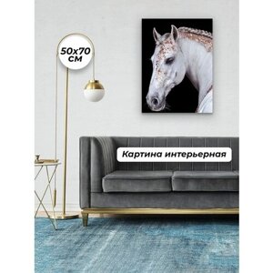 Картины для интерьера 50х70 Лошадь Белая Конь