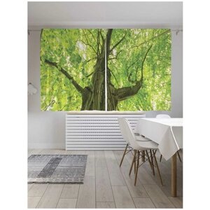 Классические шторы JoyArty "Многолетнее дерево", серия Oxford DeLux, 2 полотна 145x180 см