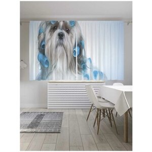 Классические шторы JoyArty "Собака с бигуди", серия Oxford DeLux, 2 полотна 145x180 см
