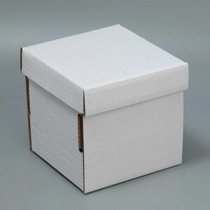 Коробка подарочная складная, упаковка, "Белая", 16.6 x 15.5 x 15.3 см, 5 шт.