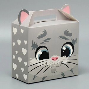 Коробка подарочная складная, упаковка, «Котик», 23 х 20 х 10 см