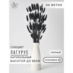 Лагурус сухоцвет черный 60шт, Сухоцветы для декора ARANTA, Букет 55 см
