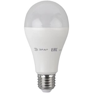 Лампа светодиодная ЭРА Б0031703, E27, A65, 19 Вт, 4000 К