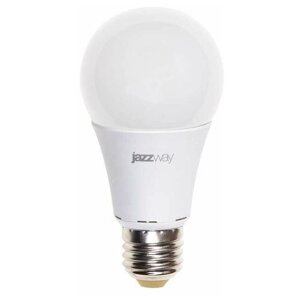 Лампа светодиодная PLED-ECO/SE-A60 11Вт грушевидная 5000К холод. бел. E27 840лм 230В JazzWay 1033222 (4шт. в упак.)