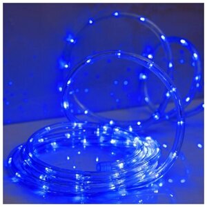 LED шнур 10 мм, круглый, 5 м, чейзинг, 2W-LED/м-24-220V, с контр. 8р, синий
