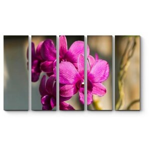 Модульная картина Королева цветов - прекрасная орхидея 170x102