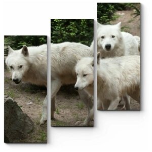 Модульная картина Полярные волки 150x160
