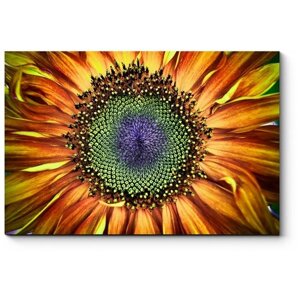Модульная картина Внутри цветка солнца 50x33