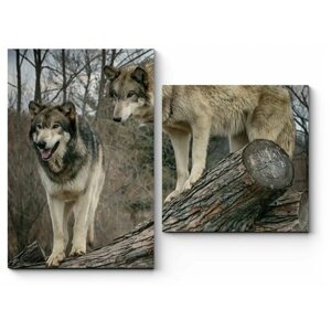 Модульная картина Волки в осеннем лесу 180x135