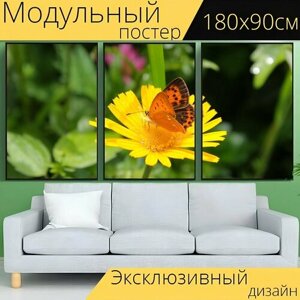 Модульный постер "Бабочка, желтый цветок, опыление" 180 x 90 см. для интерьера