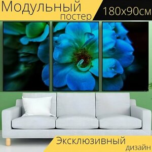 Модульный постер "Цветок, синий цветок, лепестки" 180 x 90 см. для интерьера