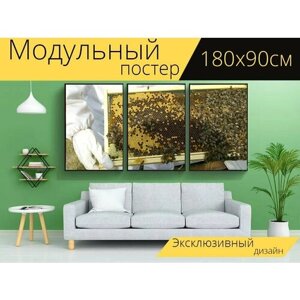 Модульный постер "Пчела, осмотр ульев, пасека" 180 x 90 см. для интерьера