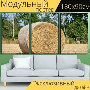 Модульный постер "Солома, поля, сельское хозяйство" 180 x 90 см. для интерьера