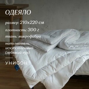 Одеяло 220х210 лебяжий пух / всесезонное одеяло /одеяло евро / одеяло зимнее / пуховое одеяло "Унисон" Atmosphere арт. 85