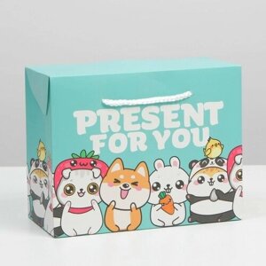 Пакет — коробка, подарочная упаковка, «Present», 23 х 18 х 11 см