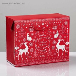 Пакет — коробка «Волшебство праздника», 23 18 11 см