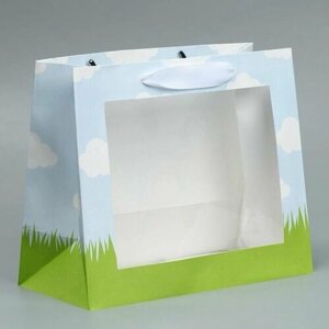 Пакет крафтовый подарочный с пластиковым окном Friends, 24х20х11 см