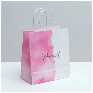 Пакет подарочный крафтовый, упаковка, «Present for you», 22 х 25 х 12 см