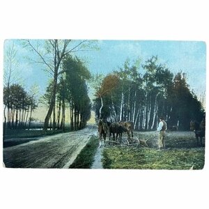 Почтовая открытка "Вспахивание поля" 1900-1917 гг. Германия