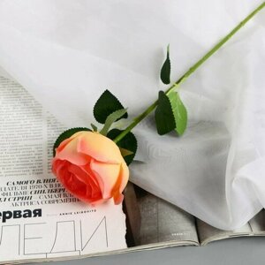 Poetry in flowers Цветы искусственные "Роза Вивальди" d-7 50 см, жёлто-розовый