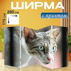 Ширма "Кошка, глаз, животное" раскладная перегородка для зонирования с принтом на холсте